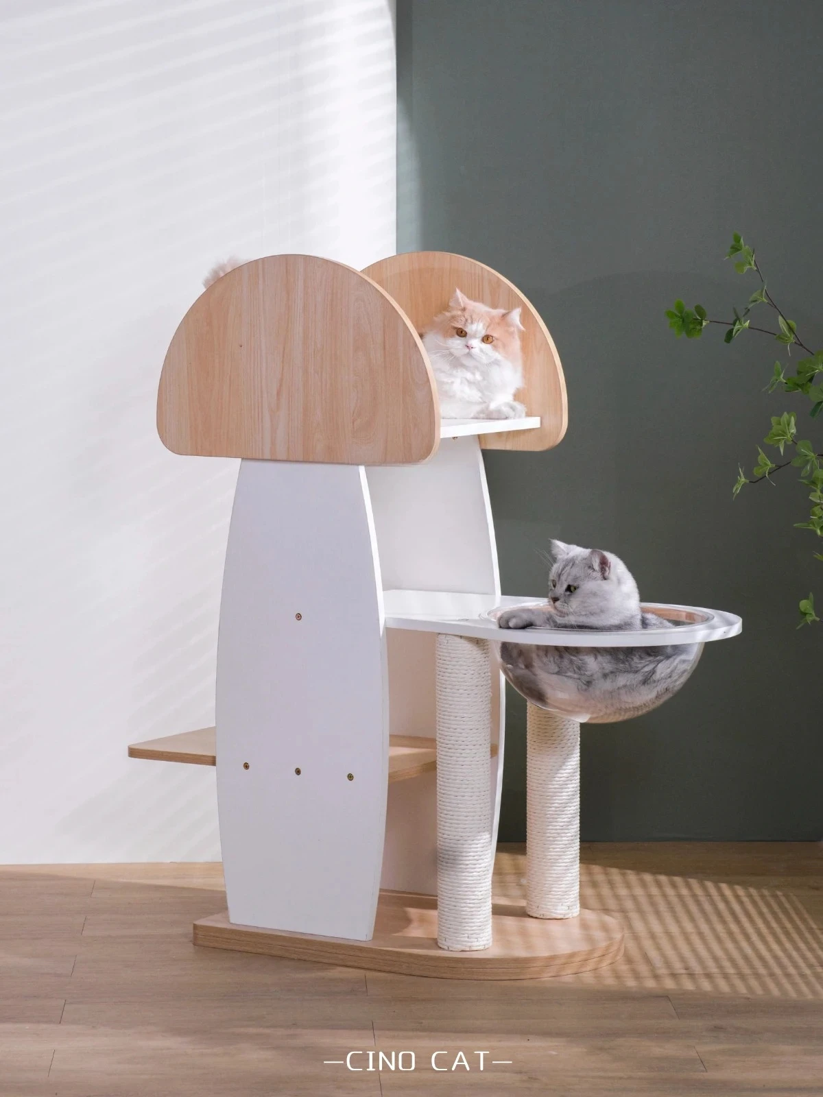 

Solid Wood Cat Climbing Frame Cat Nest Cat Tree Integrated Space Capsule Paint-Free Ecological Board