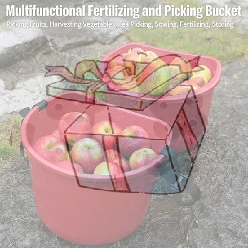 【Cca】Multifunctiona…