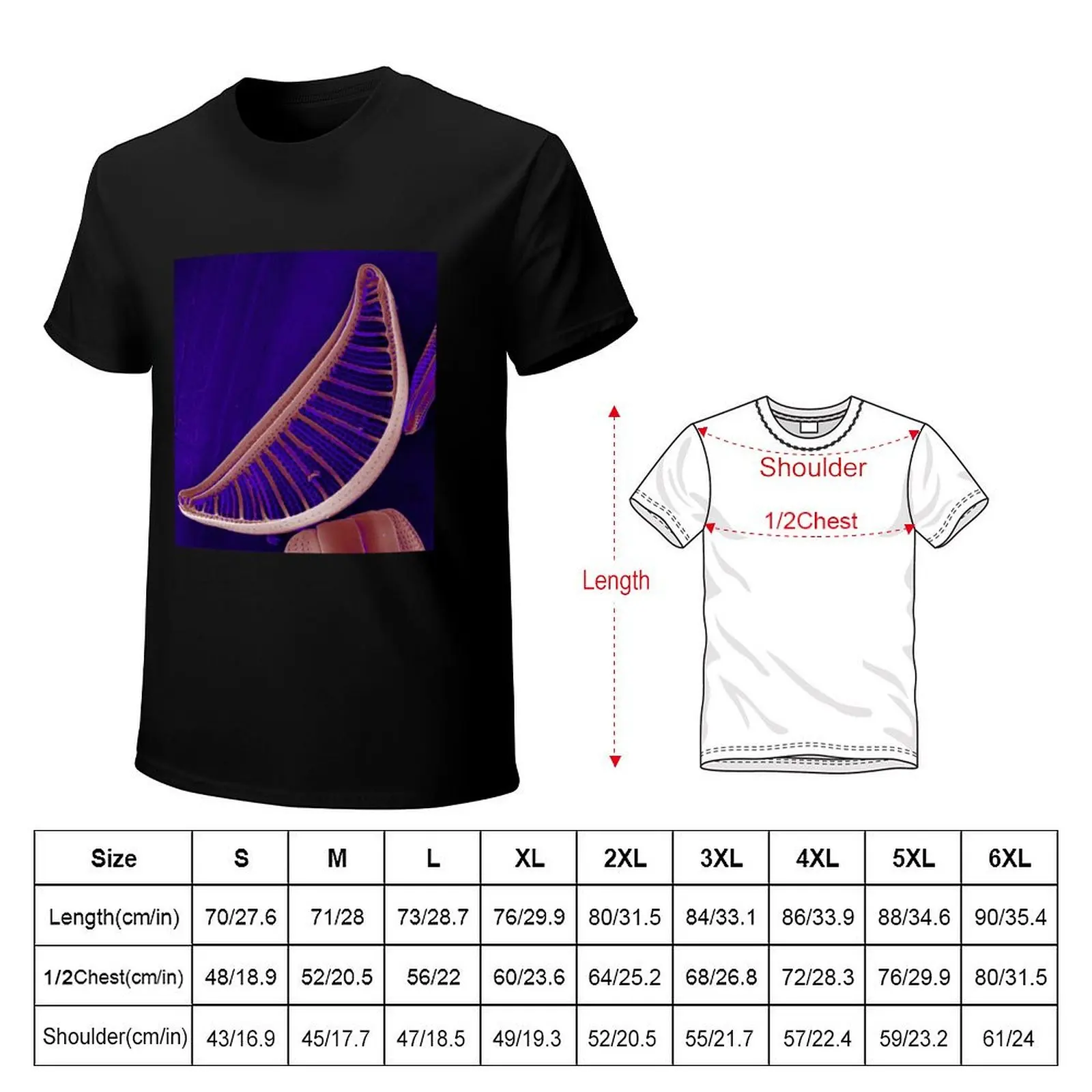 Epithemia gibberula (diatom) - Glowing Purple T-Shirt Standard Fit Solid Tee Shirt