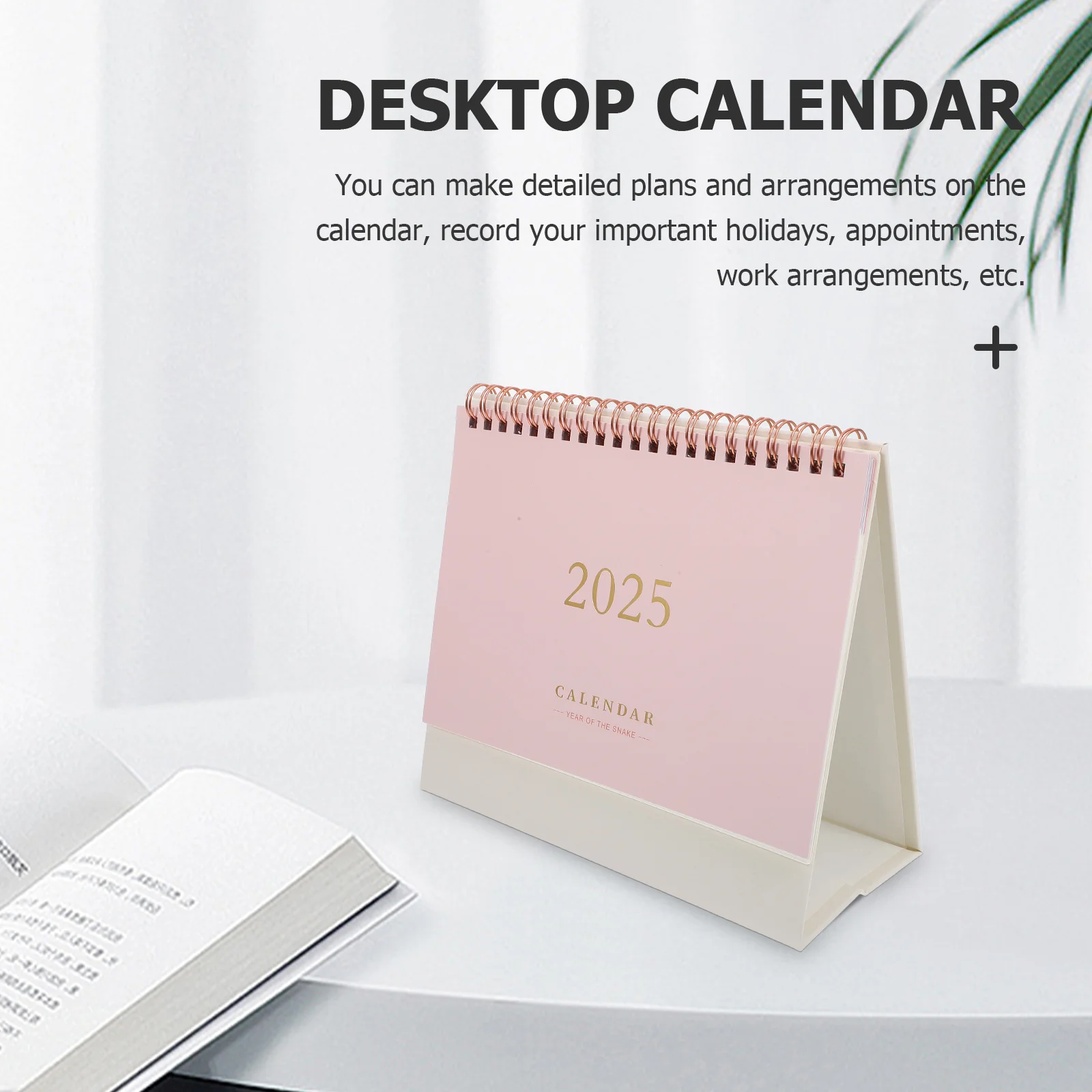 Stand up Table Calendars 2024 Tent 2025 Desk Month Korean Version