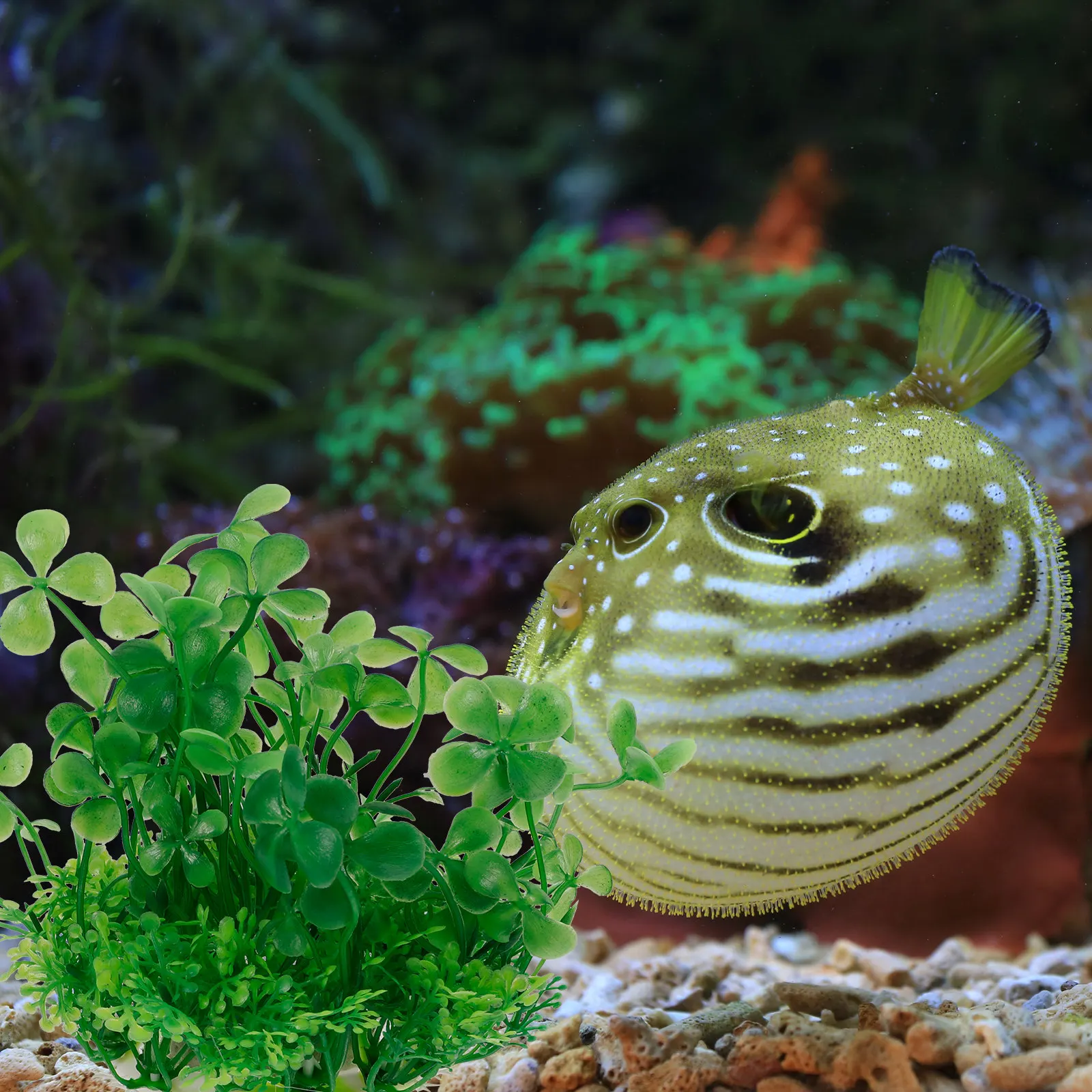Premium Realistic Artificial A - Aquarium Planted Set Up recension och pris