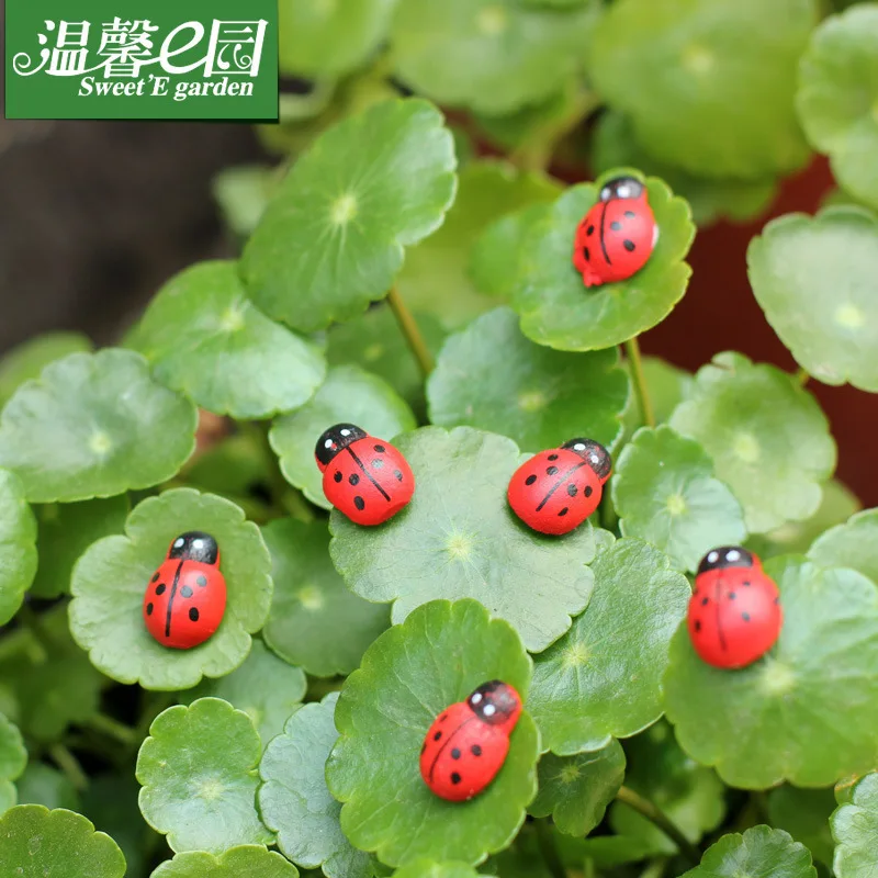 100pcs Wooden ladybug Simulated Seven Star ladybug Bonsai decoration Garden micro landscape Garden decoration