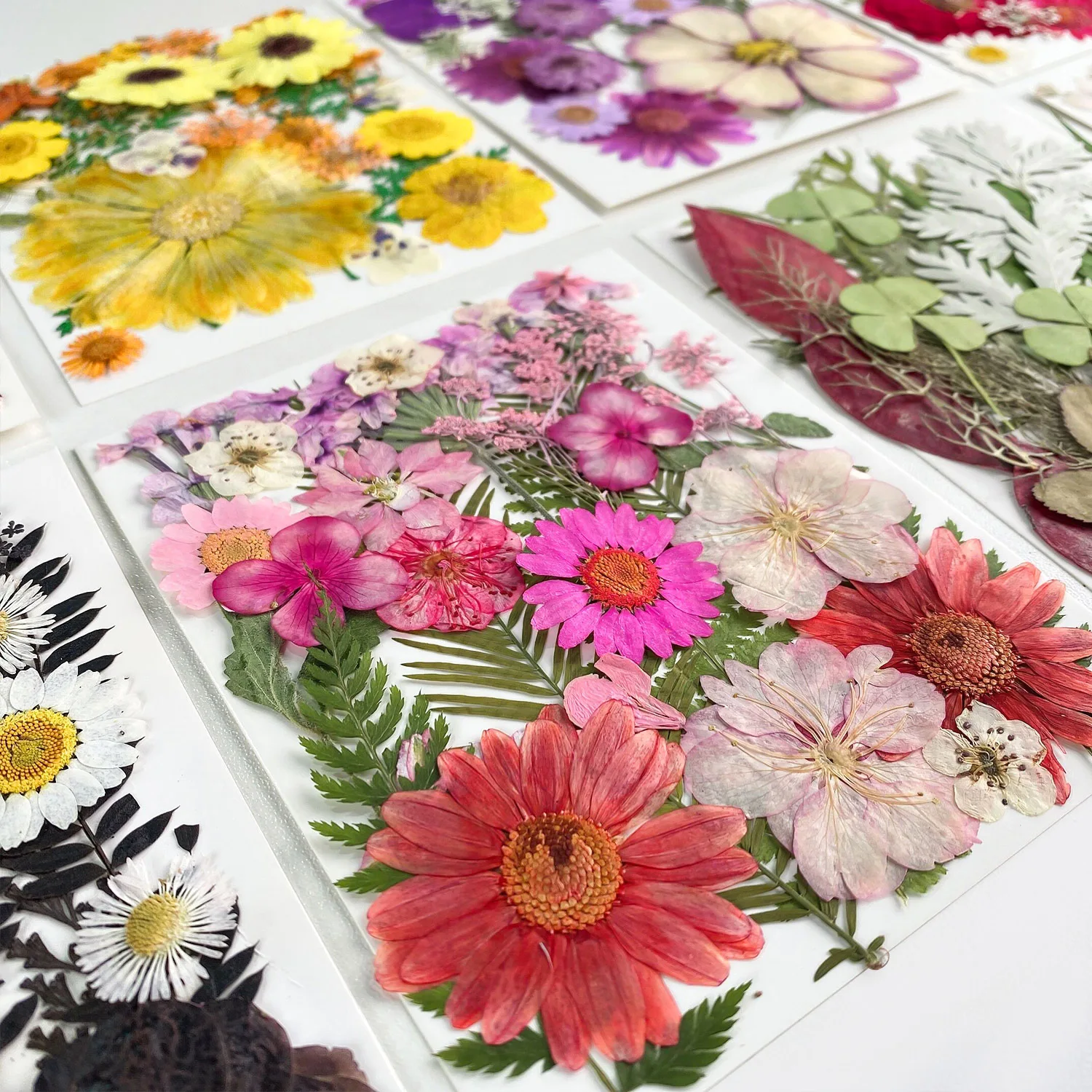 

25PCS Natural Real Dried Flowers Set for DIY Epoxy Resin Fillings Pressed Leaves Candle Resin Pendant Crafts Art Floral Decors