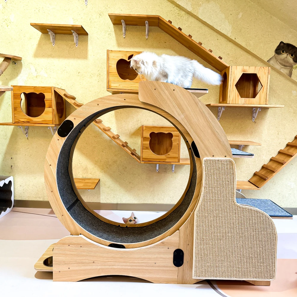 Rueda para correr deportiva para gatos 5 en 1, marco de escalada de madera para ruedas para gatos, rueda para ejercicios de arena para gatos, rodillo de gran tamaño