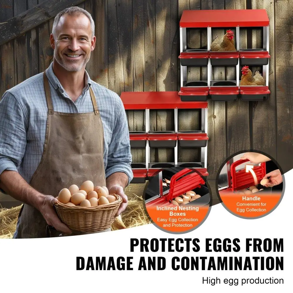 6区画鶏小屋、傾斜設計で集卵が簡単