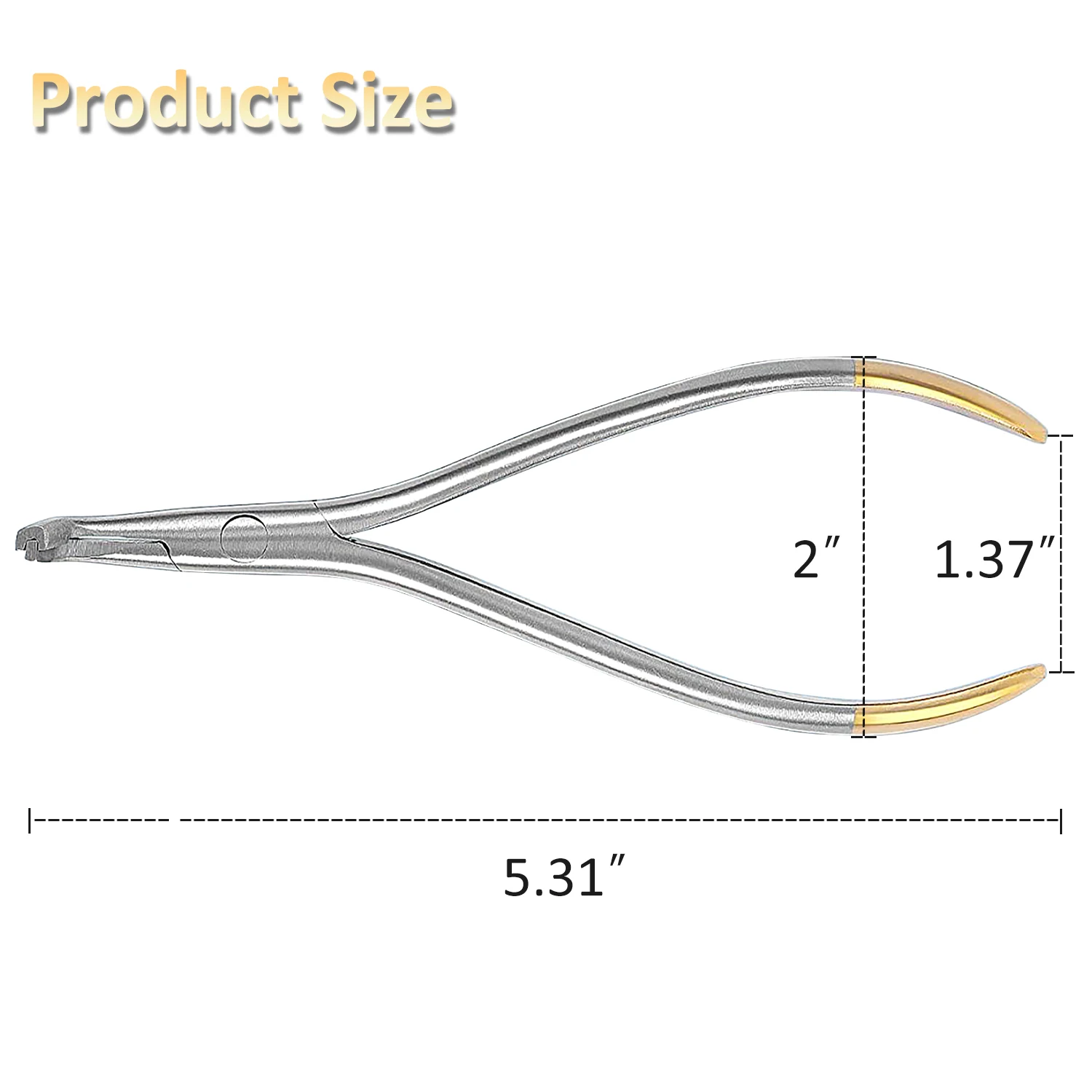 Estremità dentale NiTi Pinza piegatubi Pinza ortodontica Strumento Arco filo Distale Estremità Curva posteriore Pinza Strumento dentista in acciaio inossidabile