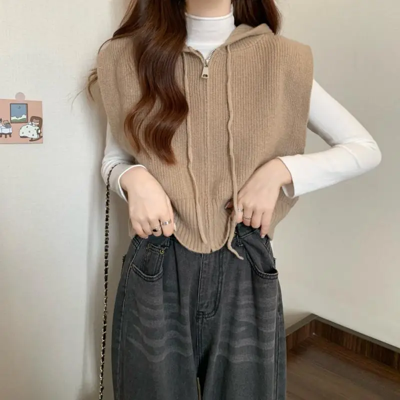 Hdspq Lazy Style Hooded Knitted Vest Women Casual All-Match Gray Zip Up Sweater Tops Woman 2023 Fashion Simple Sleeveless Tanks