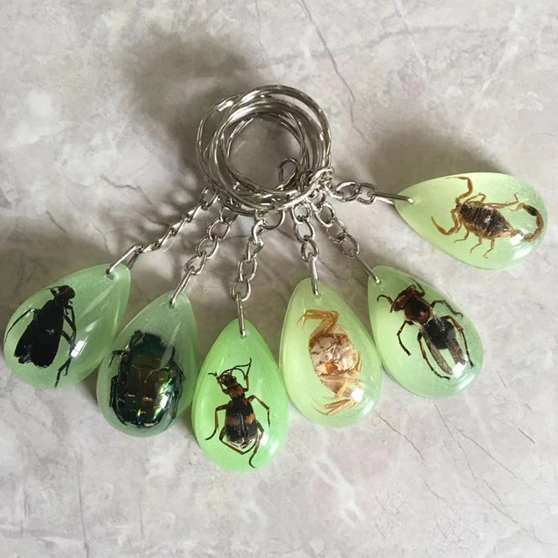 Random Style 1PC Amber Key Chain Insect Specimen Chain Pendant Scorpion Scarab Seven Star Ladybug Wasp Butterfly Car Key Ring