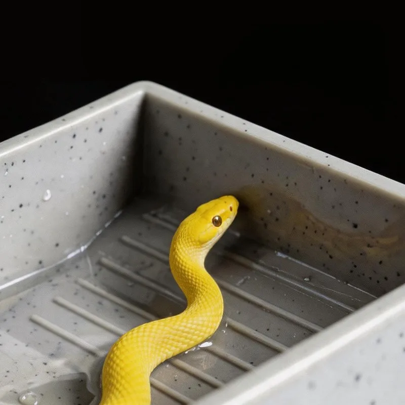 Pet reptile soaking bath tub, bathing tank for corn snakes, lizards, geckos, turtles, dedicated breeding and raising box, reptil