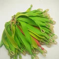 1PC