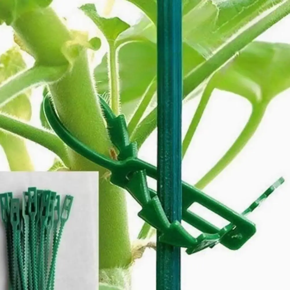 200pcs Gardening Fixed Cable Ties For Flowers Vines Shrubs Climbing Plants Flexible Durable Outdoor DIY Fixing Strap Plant Ties