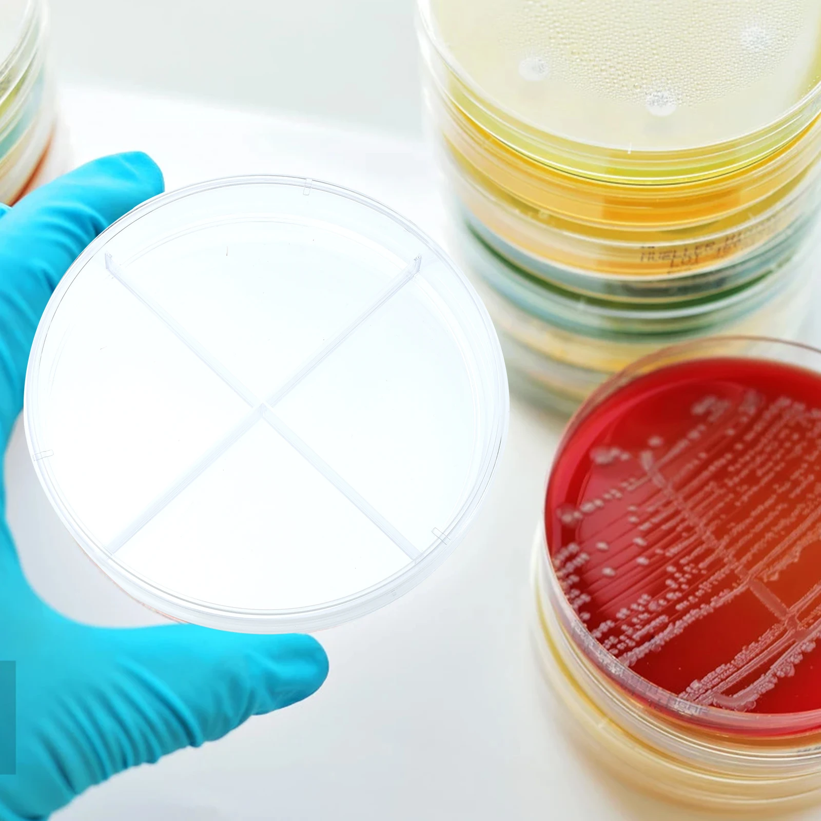 

10 Pcs Cell Culture Dish Scientific Teaching Aid Professional Petri Disposable Science Plastic