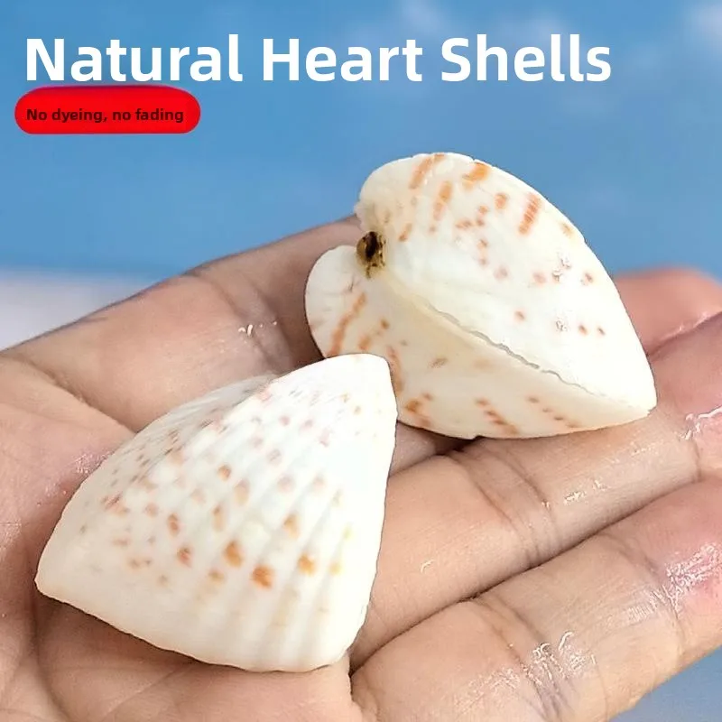 

Half Hearted Clam Natural Fish Tank Landscape Wall Creative Gift Mediterranean Stand Home Decoration ABS Material Chine...