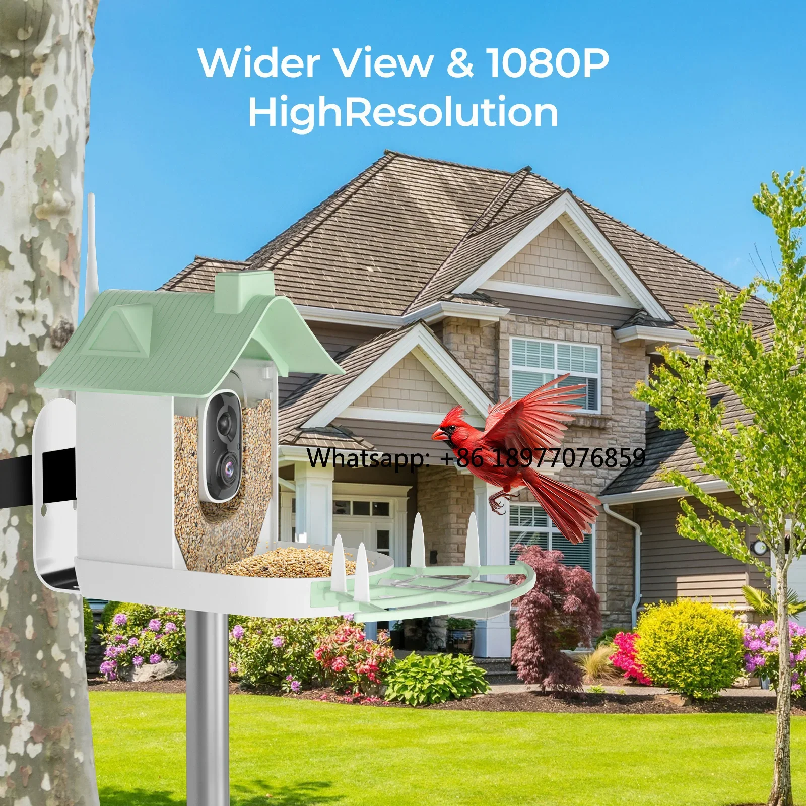 2026 Hot New Arrival App Video Bird Feeder For Window Ai Recognition Kids Learning Bird Species