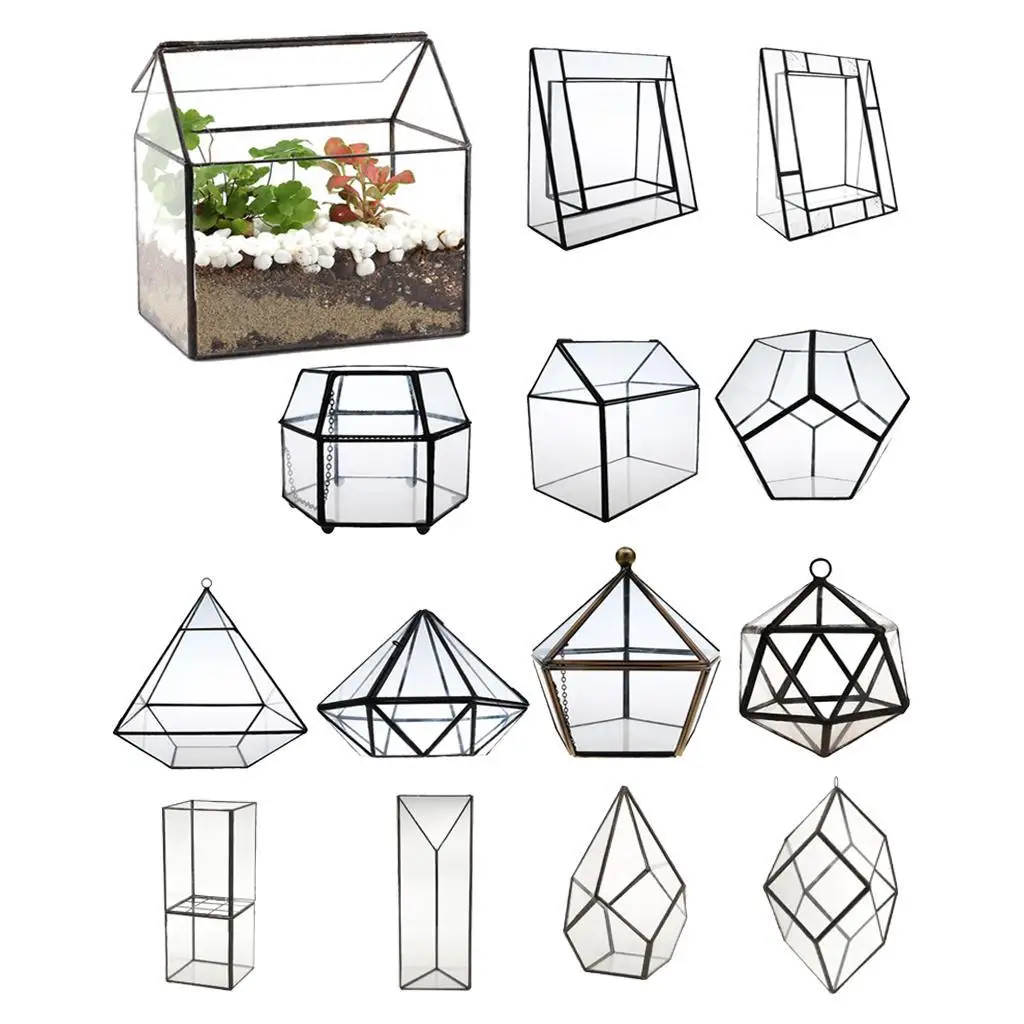 Geometric Shape Glass Flower Pot Terrarium Box Moss Succulent Plant Display Case Holder