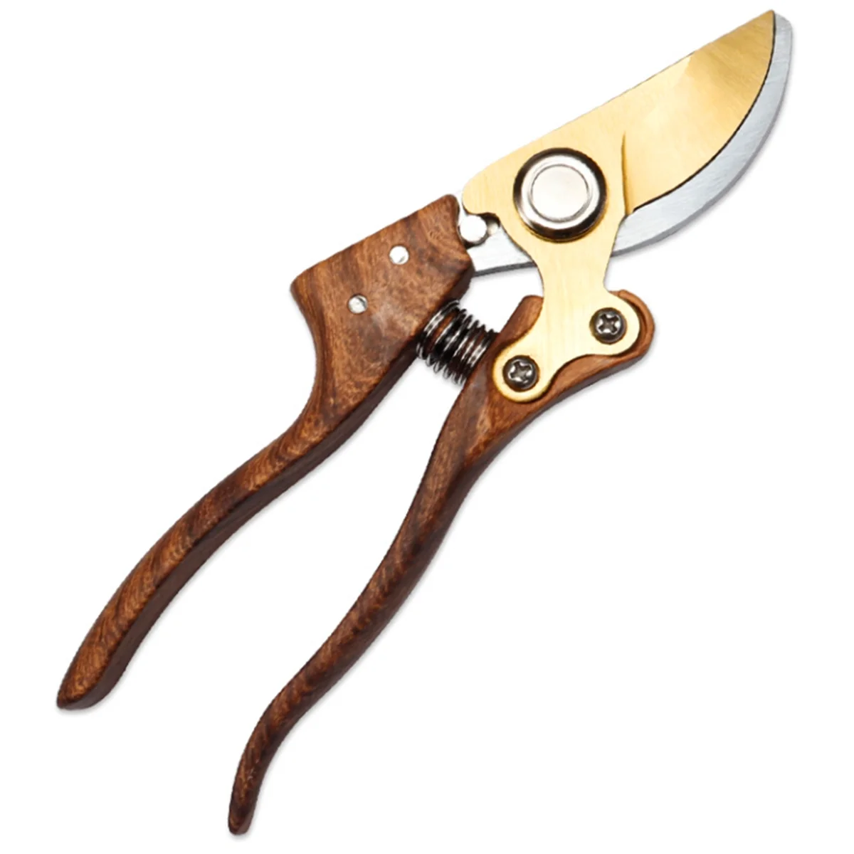 A48U Professional G… - image