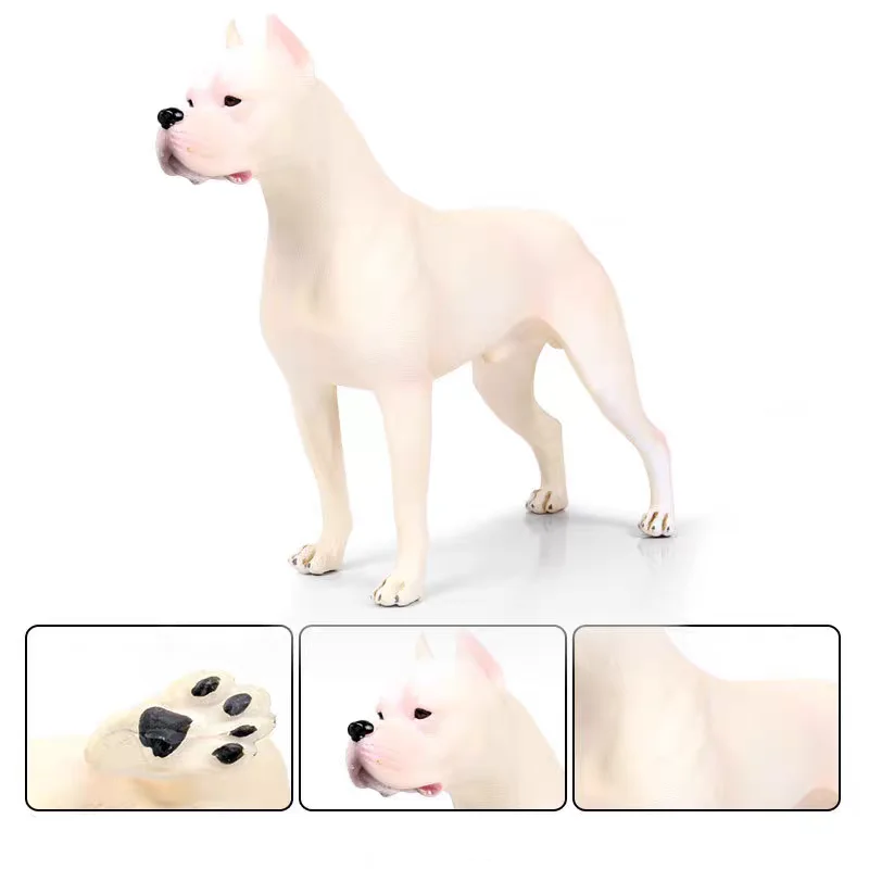 Simulation Dogo Argentino Model Pet Dog Desktop Ornament Home Decoration Puppy Decorative Figurine