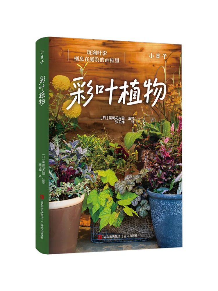 

Book-Winshare Small Days Colored Leaf Plant