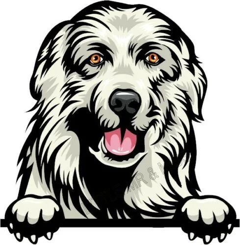 

For Great PYRENEES Peeking Dog Colour Window Wall Laptop sticker w/proof