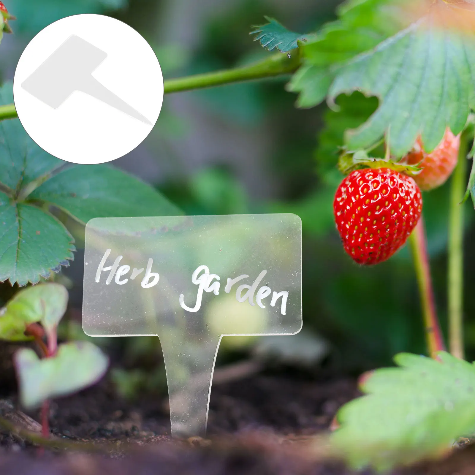 

12pcs Acrylic Plant Labels Garden Flowerpot Tags Reusable Bonsai Markers Easy Insert Soil Nursery Stakes Lawn naments Gardening