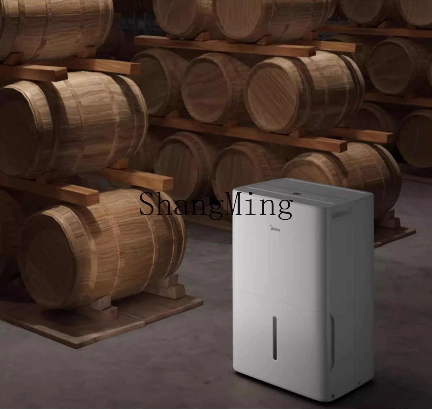 Deumidificatore ZYY deumidificatore industriale ad assorbimento di umidità ad alta potenza per seminterrato domestico