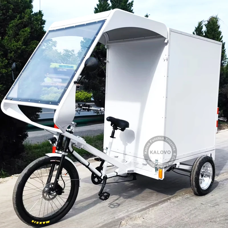 Big Powerful Commercial Express Delivery Vehicle With Closed Cabin and Rear Box 300kg Max Load Express Tricycle Bike