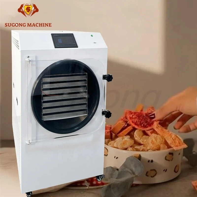 

HFD-25 30KG Freeze Dryer Machine For Food Commercial