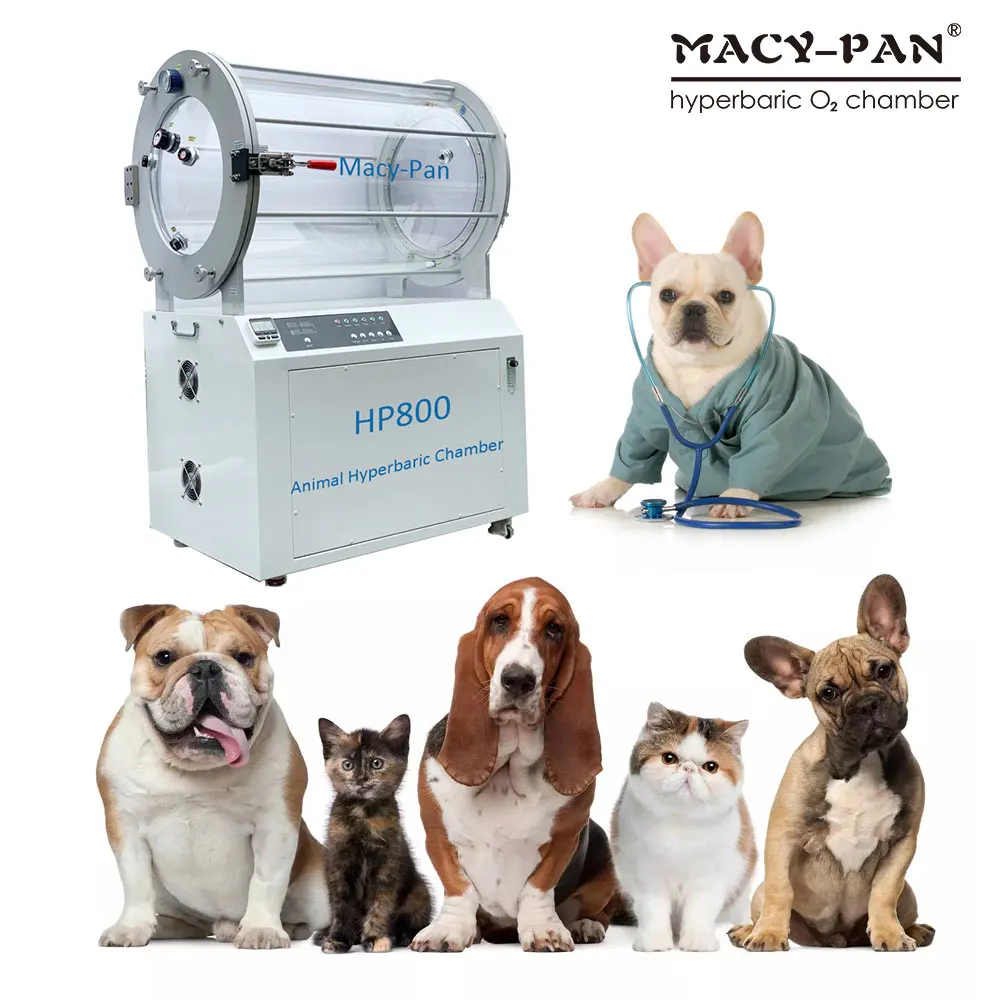 Macy-Pan 1.4 ATA Hyperbaric Oxygen Chamber For Dogs Veterinary Instrument For Animal Hyperbaric Oxygen Therapy