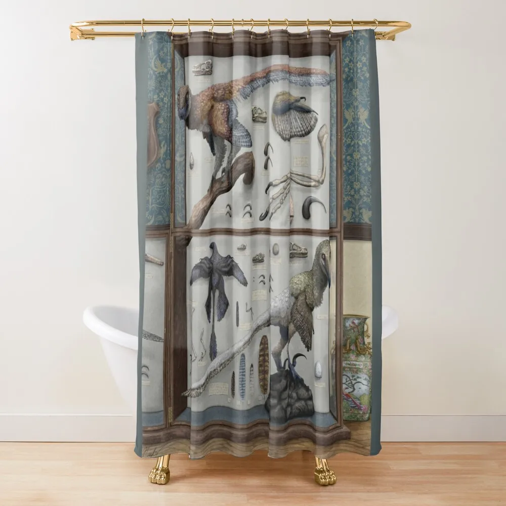 Dromaeosaur Taxidermy Cabinet Shower Curtain Shower Set For Bathroom Shower For Bathrooms Bathtub Curtain