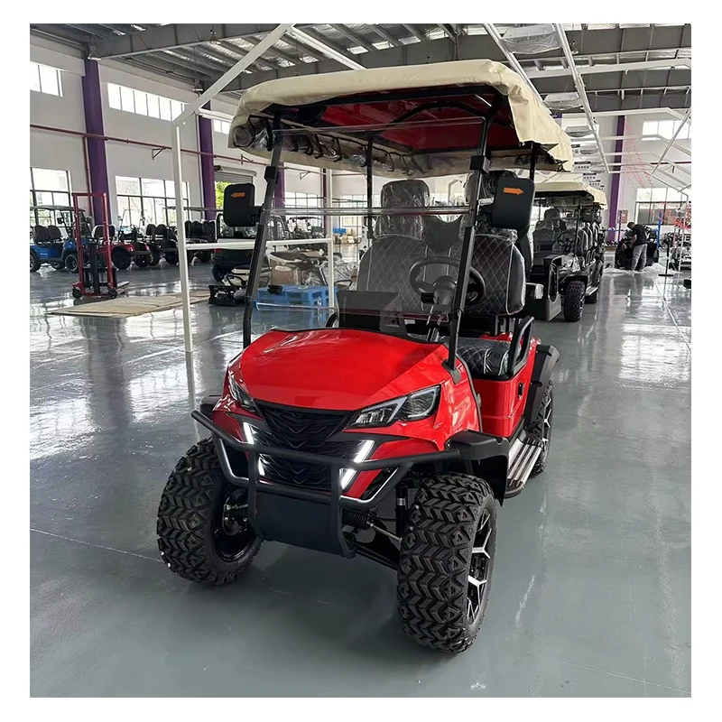 WMI/DOT Electric Golf Carts 2+2 Seater Golf Cart for Sale