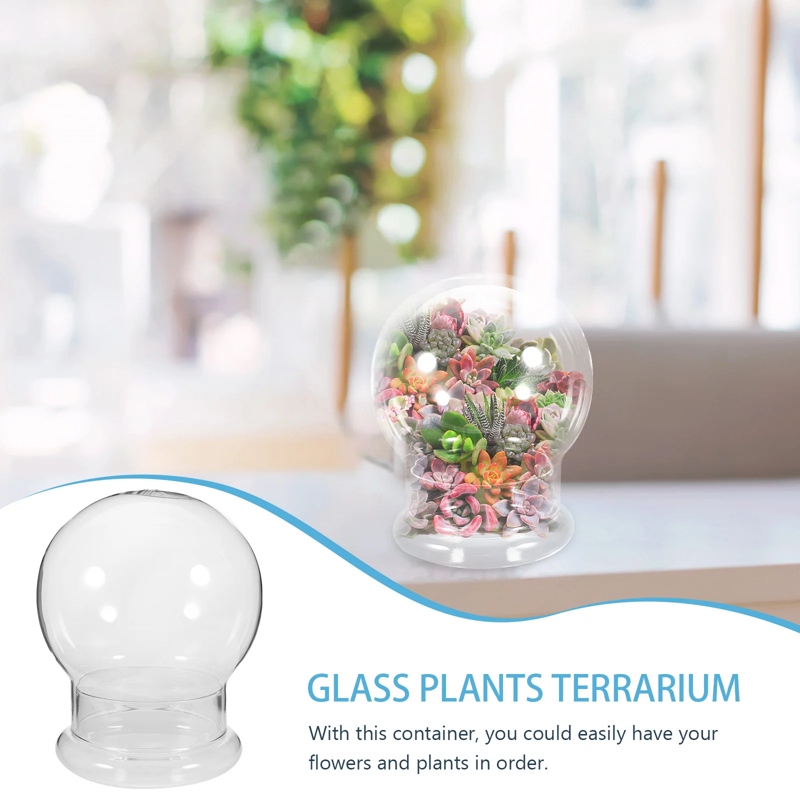 Glass Decorative Micro Landscaping Container Ecological Bottle Dome Cover with Base Terrariums for Plants Landscape Succulent