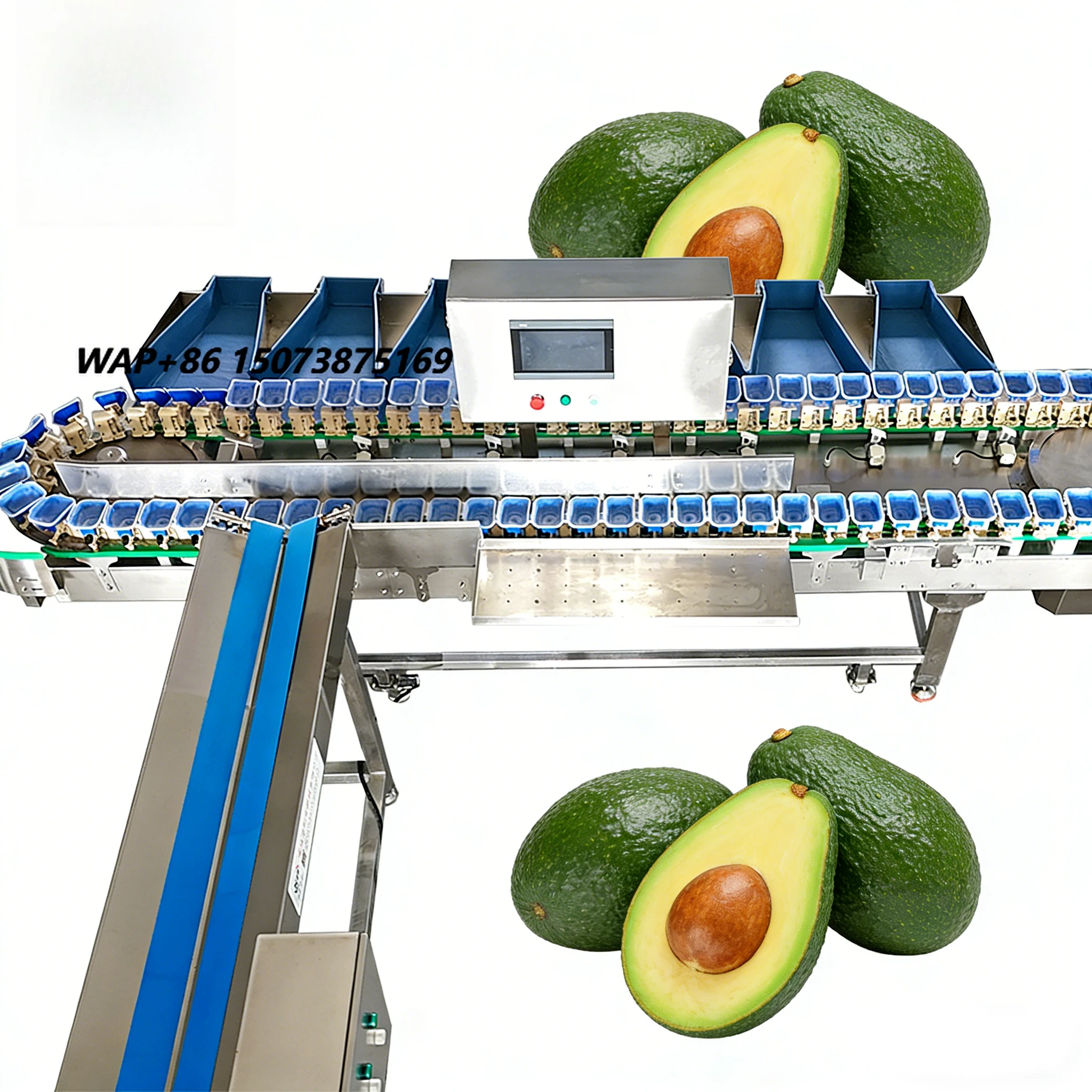 Weight Grading Machine for Fruit Processing Plant Fruit Vegetable Avocado PLC High Accuracy Sorting Customized 3-18 Grades