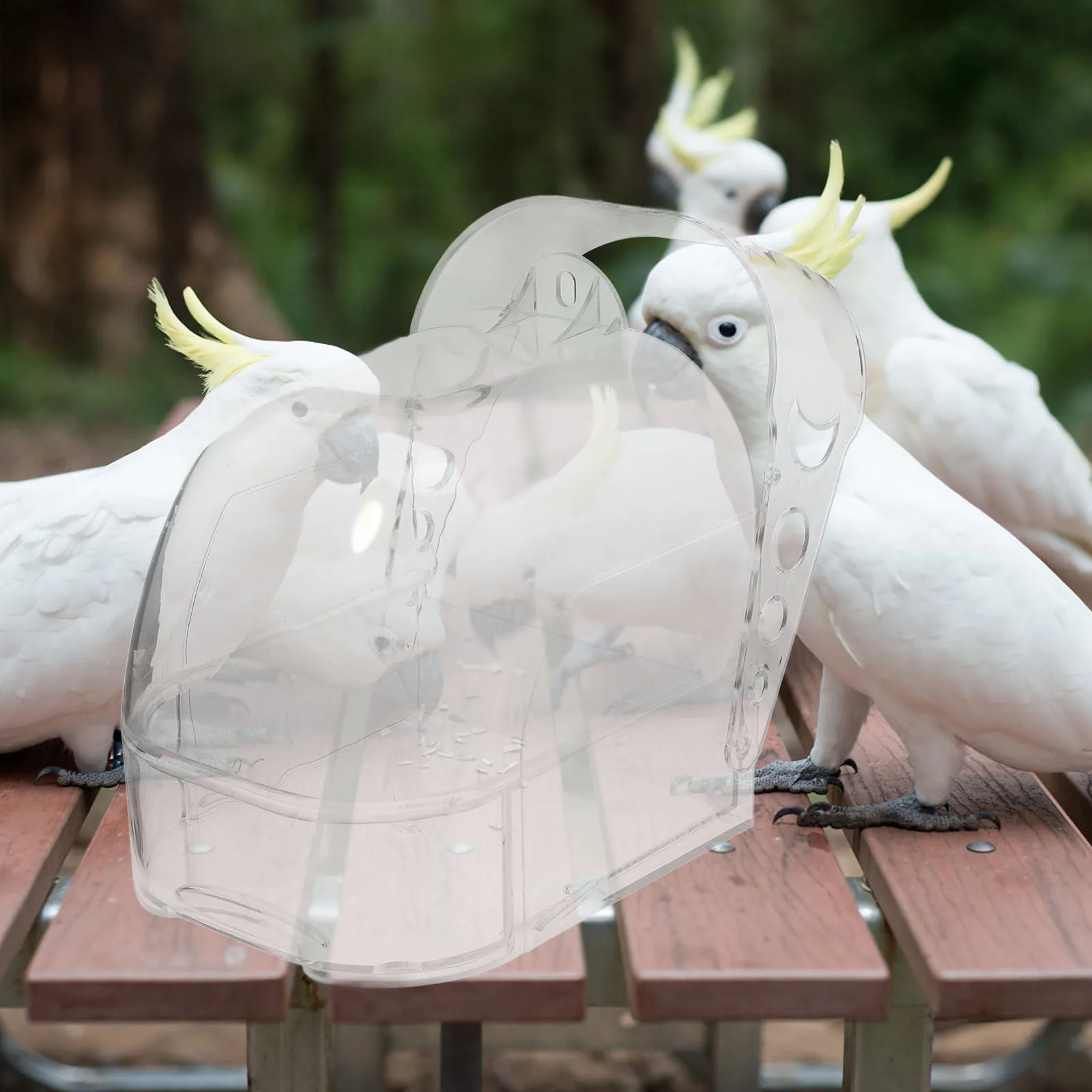 

Parrot Bird Bath With Drawer Clear Small Bird Bathing Tub Easy Clean Durable Abs For Cage Pet Bath Pool Cockatiel Parakeet