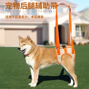

Hindleg assistance with elderly dogs, disabled dogs, rehabilitation exercise with upstairs assistance