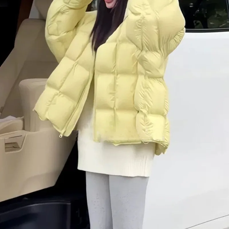 Short Puffer Down Jackets for Women New Winter Warm Round Neck Quilted Down Coats Women JK-403 Куртка Женская С Капюшоном