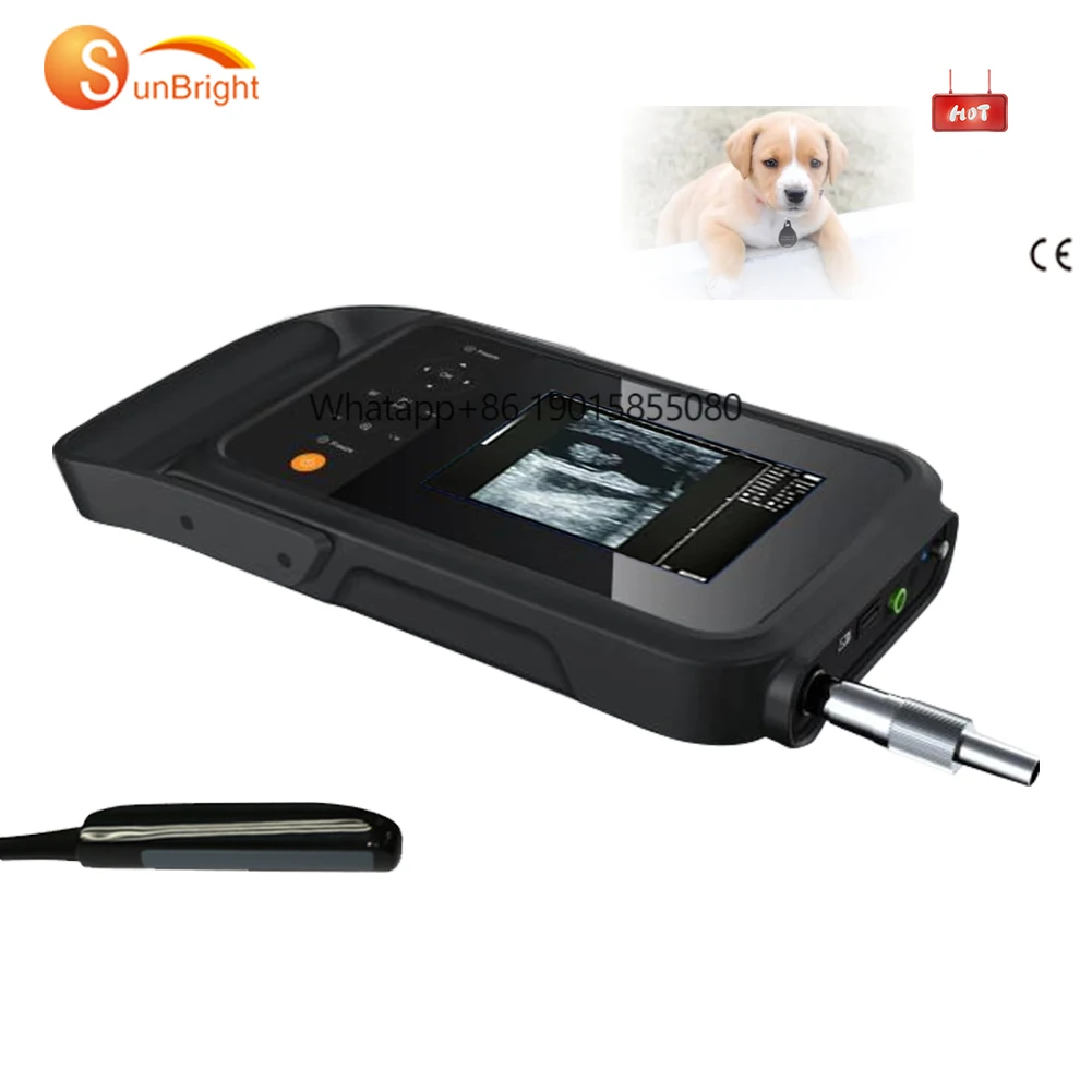 

Animal specialized Portable Ultrasound Vet Echo Scanner Dog Cat Use Good Image Quality