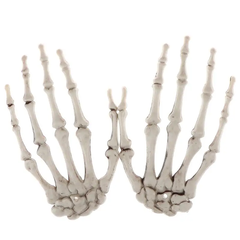 Human Anatomical bone Skeleton Model Medical  Medical Learn Aid Anatomy art sketch 1 Pair Skull Skeleton Hand Bone Halloween