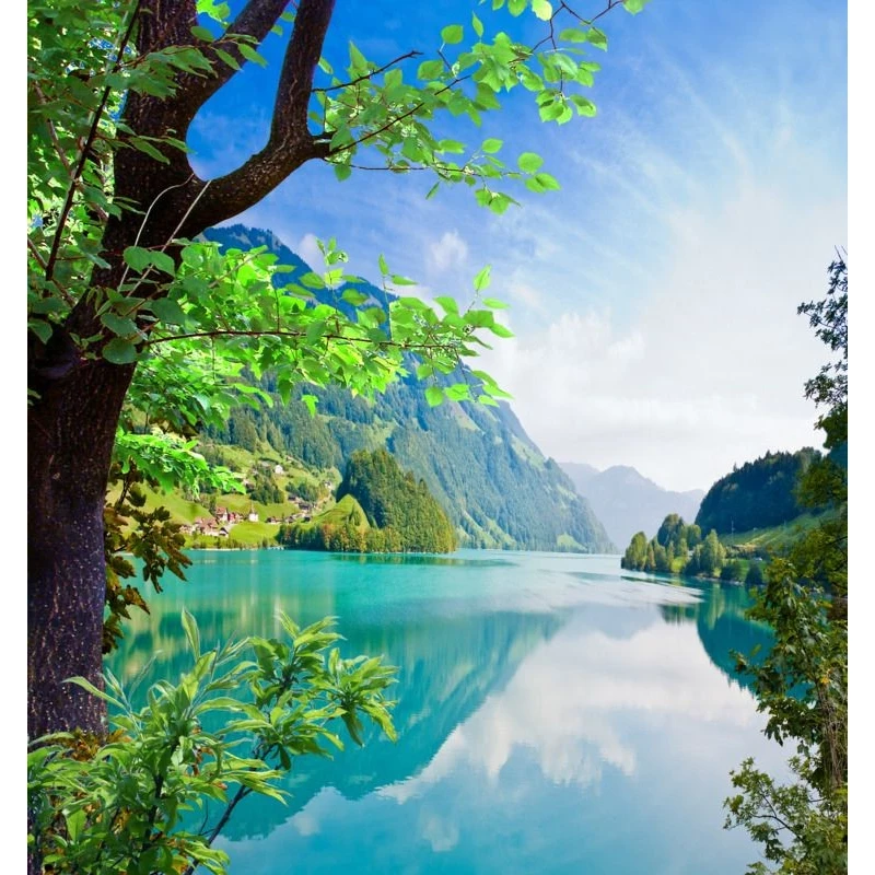 

Carbon Fiber Pattern Steering Wheel Cover, Anti-Slip For BMW F30 F31 E90 E91 G20 G30 F10 F20 X1 X3 X5 X2 X6 M2 M3 i3 i4 etc