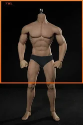 1/6 Scale Figure Super-Flexible Male Seamless Muscle Body with Steel Skeleton TBLeague Phicen M30 PL2015-M30 Action Figure Toy