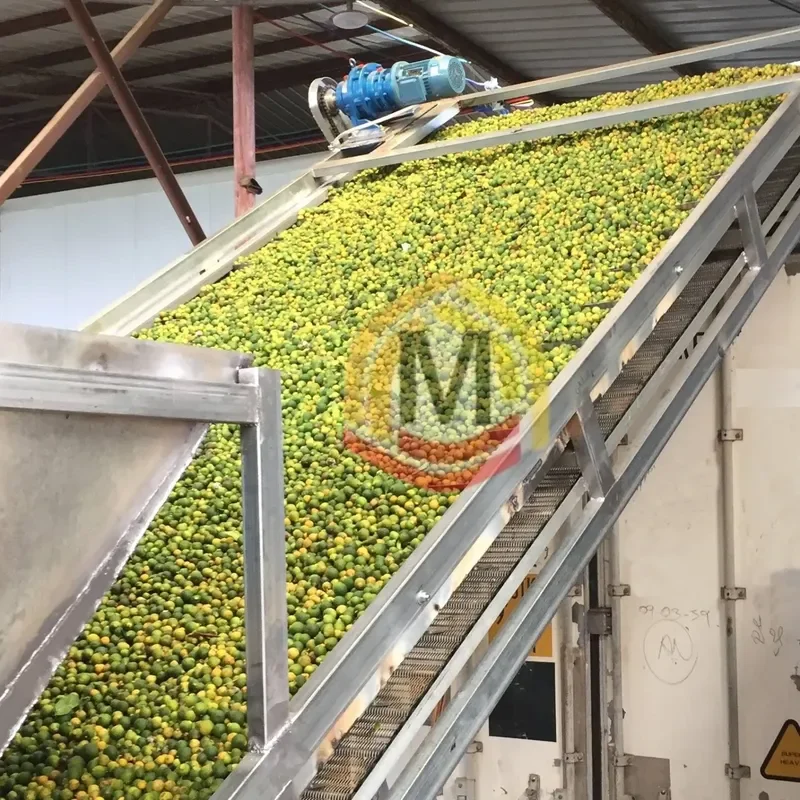 Continuous Mesh Belt Dryer Pecan Bada Melon Seeds Coal-Fired Drying Machine