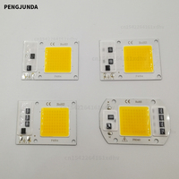 1/2/5 pcs LED COB Chip AC 220V 10W 20W 30W 50W Smart IC No Need Driver LED Bulb Lamp for Flood Light Spotlight Outdoor