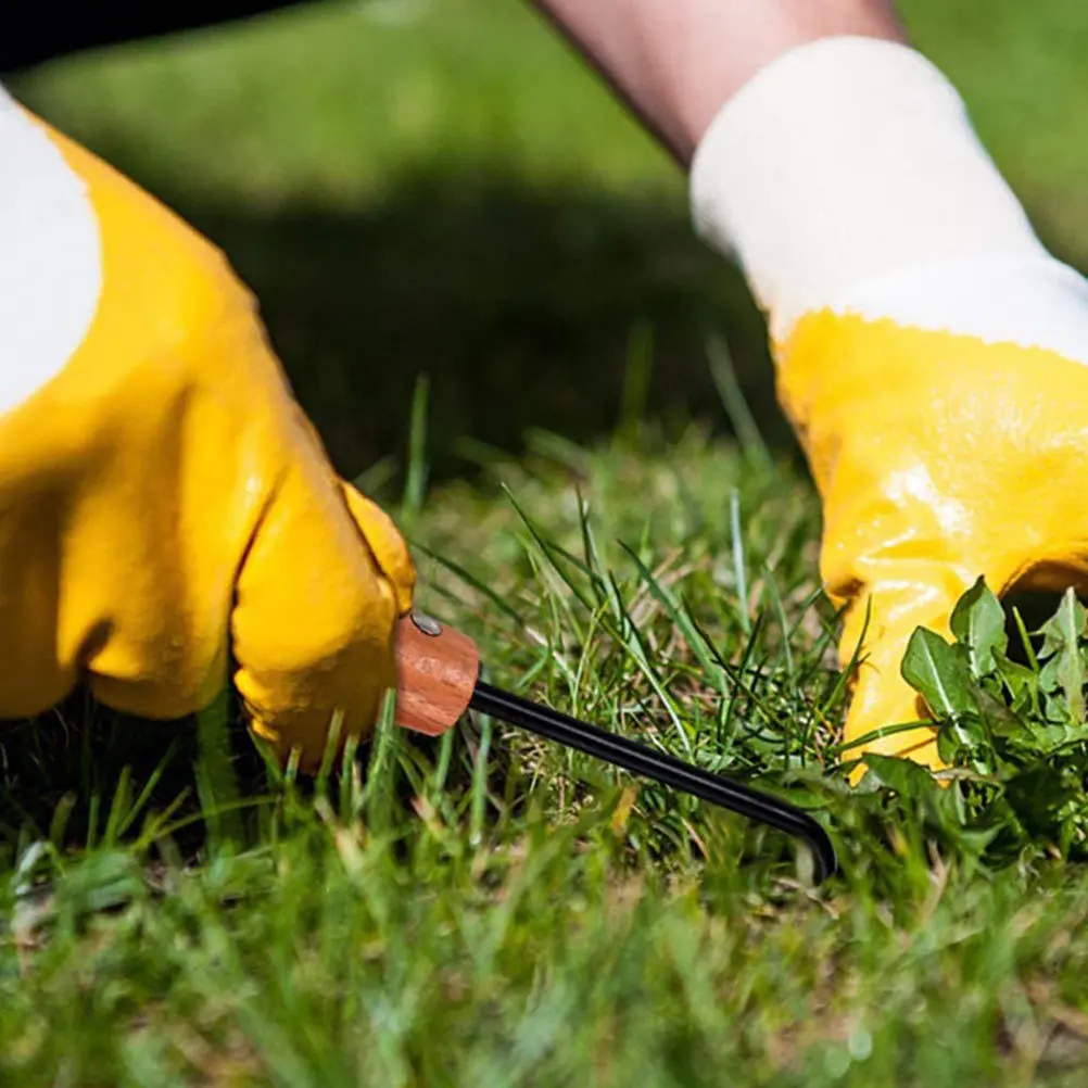 

2pcs Root Remover Tool Stainless Steel Single-Claw Hook For Garden Weeding Soil Loosener Portable Manual Weeder Yard Lawn Tool