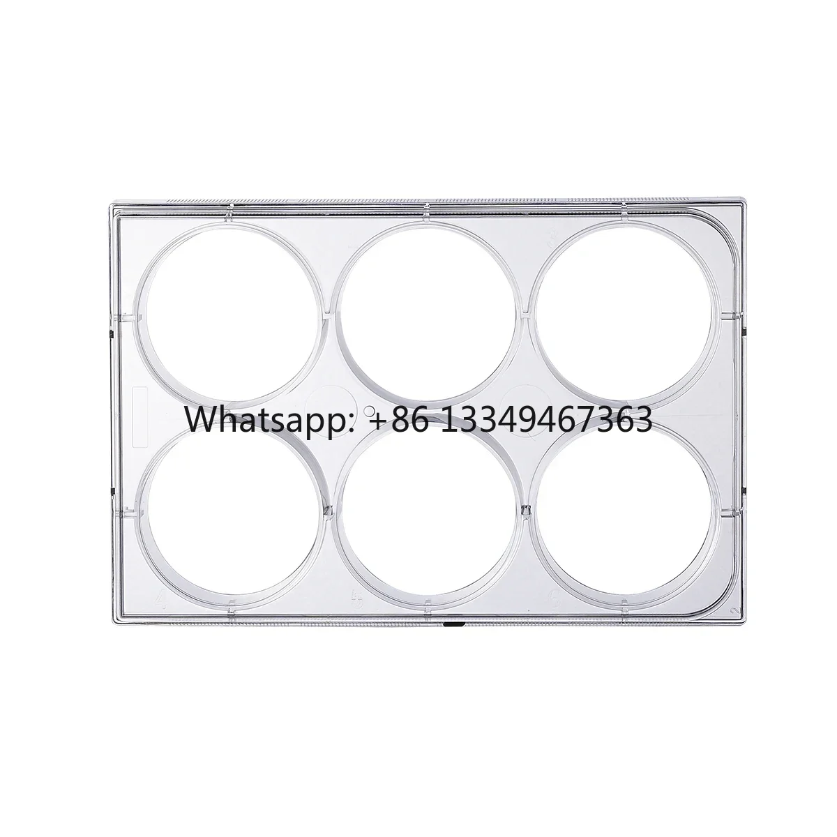 

High quality Biomedical Laboratory Supplies Wholesale Price 6 Well Tissue Culture Plate Cell Culture Plate with Lid