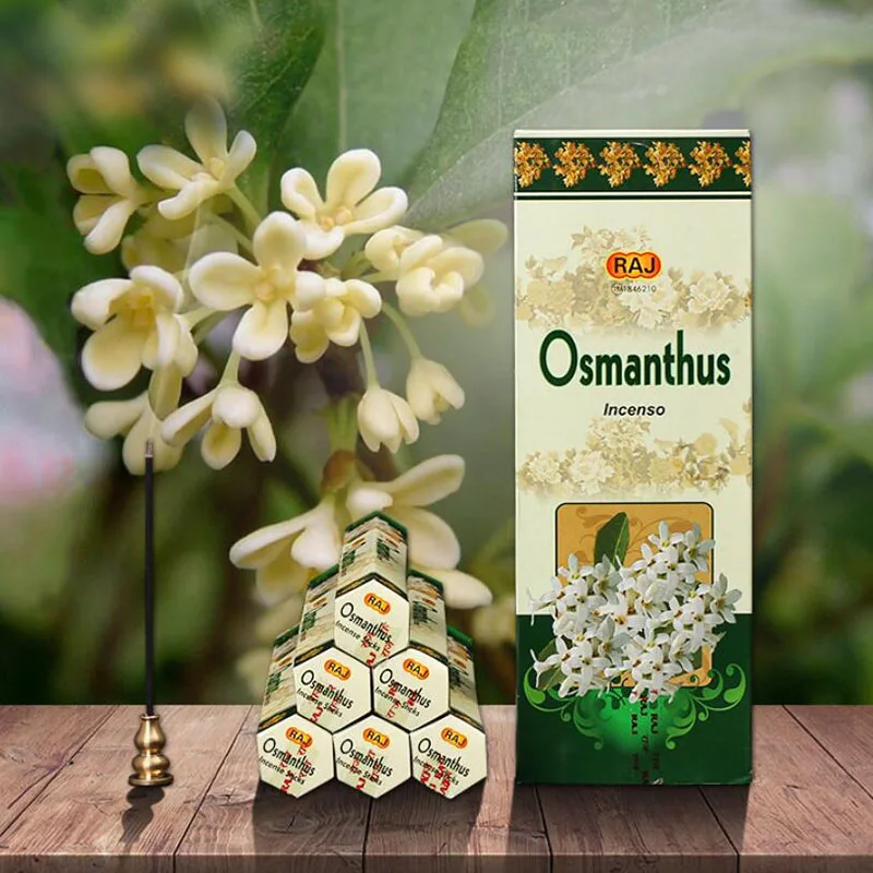 India Imported Incense Osmanthus Flavor Stick Incense Natural Plant Fragrance Aroma Incense for Indoor Meditation Smell Supply