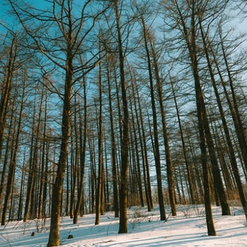 

Toolkitrc Car Charging Cable Converting to XT60 Female Lithium Charger for RC Car Adapter Cable DIY Parts