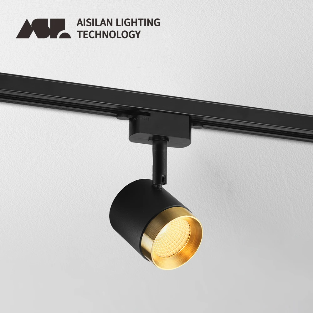 Aisilan Luxury Led Track Spotlight Aluminum Ceiling Black Track Lighting Spot Rail Adjustable Light Display(Track Unincluded)