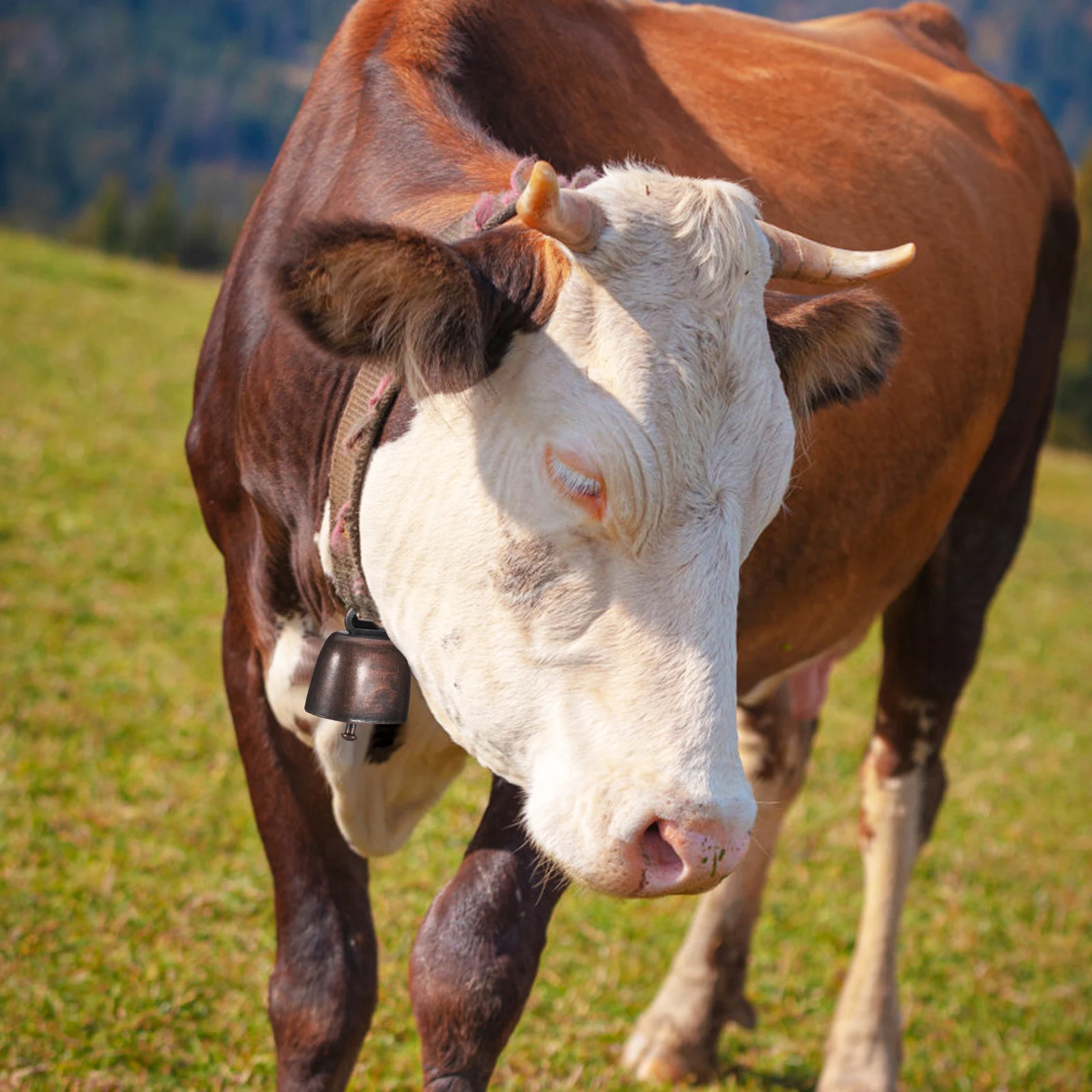 

12Pcs Small Metal Cowbells Vintage Farm Animal Bells Loud Clear Sound Bells for Sheep Cattle Goats Grazing Farm Animal Bell