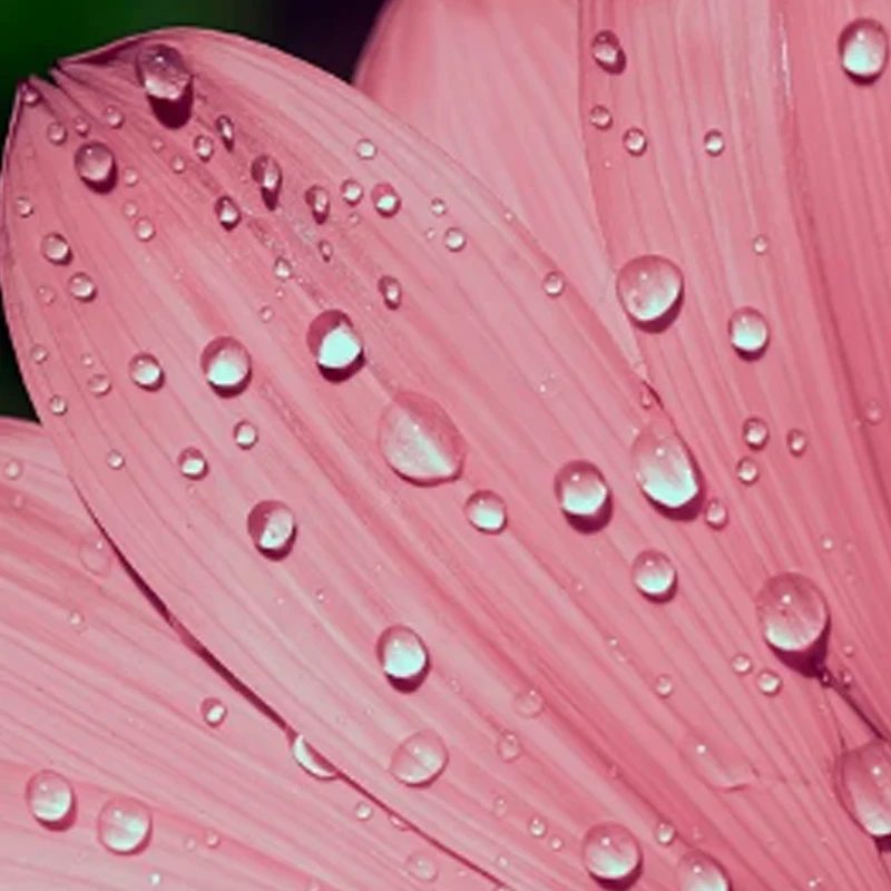 

HolyBro Tekko32 F4 4in1 Mini 50A ESC(AM32) 4-6S LiPo M4 30.5x30.5mm for RC FPV Racing Drone