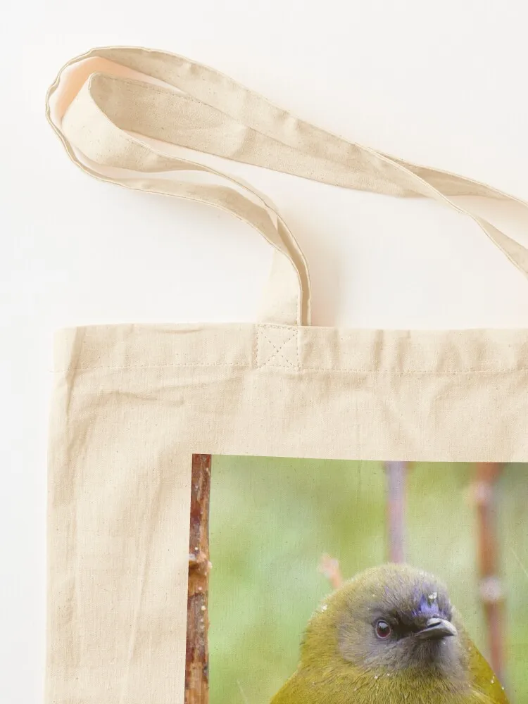 Bellbird - Southland NZ Tote Bag Canvas large tote bag cute pouch bag Canvas stote