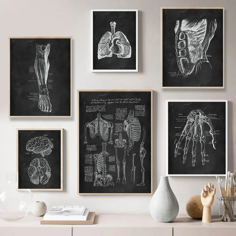 Black and Whilte Human Anatomy Artwork Medical Clinic Wall Picture Skeleton Organ Muscle System Vintage Canvas Print Poster